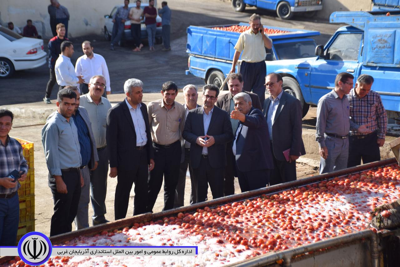 امیر تیموری معاون استاندار و فرماندار ویژه میاندوآب بمنظور رفع موانع تولید و حمایت از تولیدکنندگان از کارخانه زرین رُب بازدید و از نزدیک مشکلات این واحد تولیدی را مورد بررسی قرار داد.