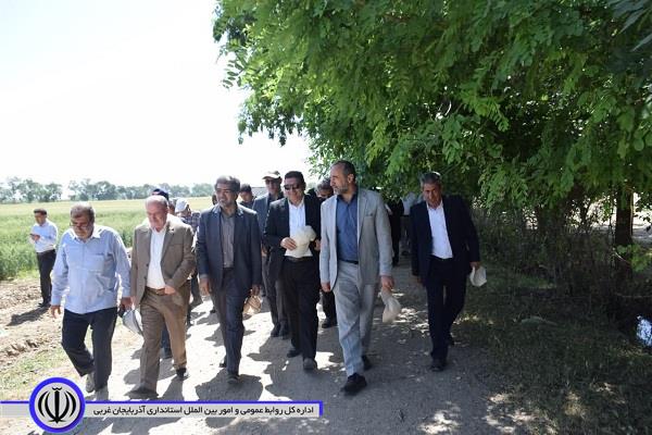 آلبوم تصویر / بازدید مسئولان استانی و شهرستانی از پردیس تحقیقات و آموزش کشاورزی میاندوآب