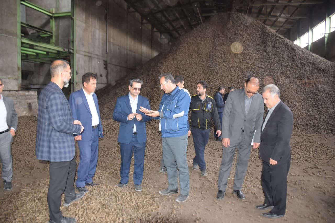معاون استاندار و فرماندار ویژه میاندوآب به منظور بررسی روند خریداری و عیار سنجی چغندرقند، خط تولید ونحوه عرضه محصول به بازار مصرف از کارخانه قند پانیذفام بازدید کرد